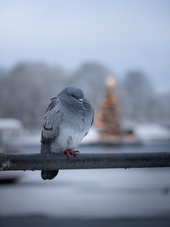 How to Sleep Better with a Relaxing Wind-Down Routine